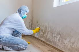 Best Mold Prevention Services  in Wolf Point, MT